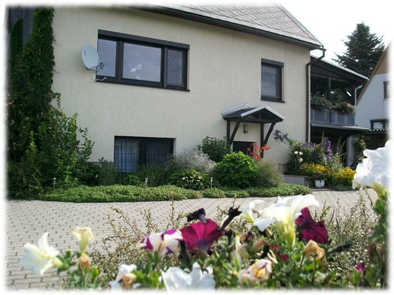 Apartamento Fewo Hoyer Hinterhermsdorf Exterior foto